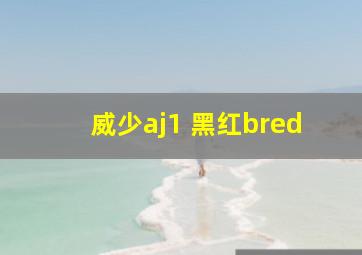 威少aj1 黑红bred